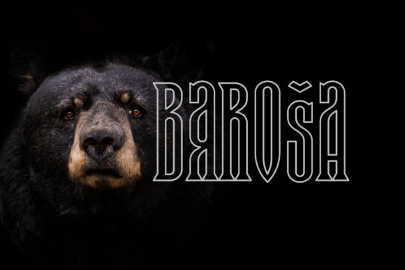 Baroša: Elevating Visual Identity with Dynamic 3D Typography